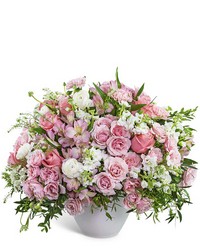 Provence Rose Garden -A local Pittsburgh florist for flowers in Pittsburgh. PA