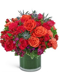 Bellini Luxe -A local Pittsburgh florist for flowers in Pittsburgh. PA