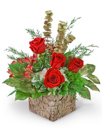 Spirit of Noel -A local Pittsburgh florist for flowers in Pittsburgh. PA