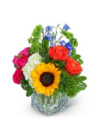 Vibrant Valencia -A local Pittsburgh florist for flowers in Pittsburgh. PA