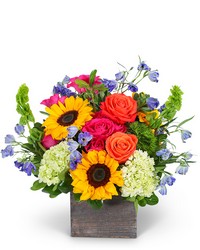 Valencia Harmony -A local Pittsburgh florist for flowers in Pittsburgh. PA