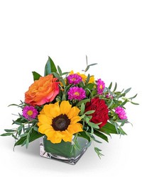 Sedona Valley -A local Pittsburgh florist for flowers in Pittsburgh. PA
