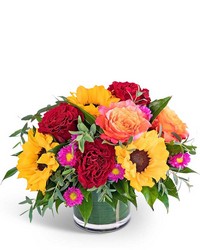 Shades of Sedona -A local Pittsburgh florist for flowers in Pittsburgh. PA