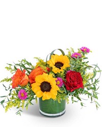 Sedona Sunshine -A local Pittsburgh florist for flowers in Pittsburgh. PA