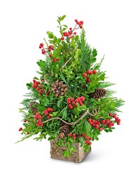 Berries & Cones Boxwood Tree -A local Pittsburgh florist for flowers in Pittsburgh. PA