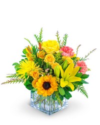 Sun-Kissed -A local Pittsburgh florist for flowers in Pittsburgh. PA