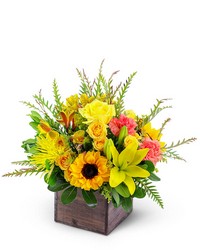 Sun-Kissed Favorite -A local Pittsburgh florist for flowers in Pittsburgh. PA