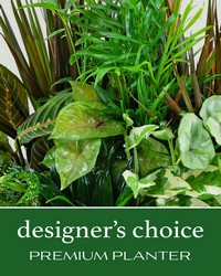 Designer's Choice Premium Planter -A local Pittsburgh florist for flowers in Pittsburgh. PA