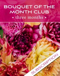 Bouquet of the Month Club (3) -A local Pittsburgh florist for flowers in Pittsburgh. PA