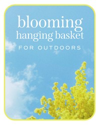 Outdoor Blooming Hanging Basket -A local Pittsburgh florist for flowers in Pittsburgh. PA
