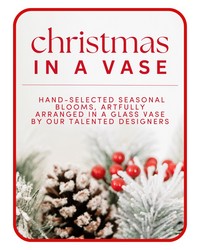 Designer's Choice Christmas Vase Arrangement -A local Pittsburgh florist for flowers in Pittsburgh. PA