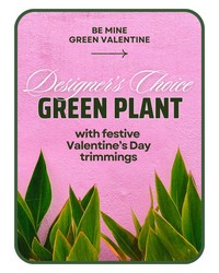 Designer's Choice Valentine's Day Green Plant  -A local Pittsburgh florist for flowers in Pittsburgh. PA