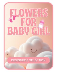 Designer's Selection Baby Girl -A local Pittsburgh florist for flowers in Pittsburgh. PA