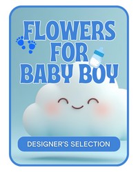 Designer's Selection Baby Boy -A local Pittsburgh florist for flowers in Pittsburgh. PA