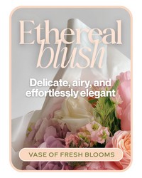 Ethereal Blush - Designer's Choice -A local Pittsburgh florist for flowers in Pittsburgh. PA