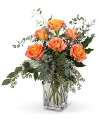 Free Spirit Roses (6) -A local Pittsburgh florist for flowers in Pittsburgh. PA