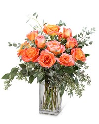 Free Spirit Roses (12) -A local Pittsburgh florist for flowers in Pittsburgh. PA