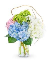 Sweet Hydrangea -A local Pittsburgh florist for flowers in Pittsburgh. PA