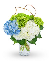 Hydrangea Perfection -A local Pittsburgh florist for flowers in Pittsburgh. PA