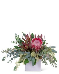 Exotic Naturals -A local Pittsburgh florist for flowers in Pittsburgh. PA
