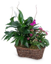 Harmony Basket with Butterflies -A local Pittsburgh florist for flowers in Pittsburgh. PA