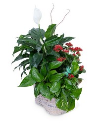 Verdant Basket -A local Pittsburgh florist for flowers in Pittsburgh. PA