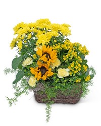 Pocketful of Sunshine -A local Pittsburgh florist for flowers in Pittsburgh. PA