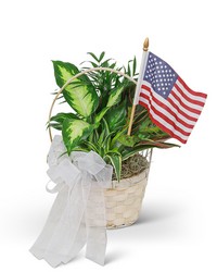 Patriotic Planter -A local Pittsburgh florist for flowers in Pittsburgh. PA