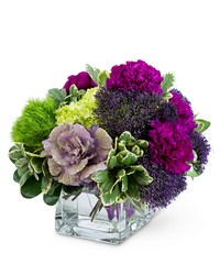 Reign Supreme -A local Pittsburgh florist for flowers in Pittsburgh. PA