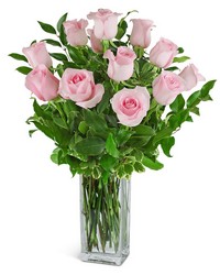 One Dozen Light Pink Roses -A local Pittsburgh florist for flowers in Pittsburgh. PA