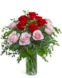 One Dozen Perfect Pink and Red Roses -A local Pittsburgh florist for flowers in Pittsburgh. PA