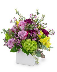 Bel Air Blooms -A local Pittsburgh florist for flowers in Pittsburgh. PA