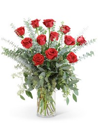Red Roses with Eucalyptus Foliage (12) -A local Pittsburgh florist for flowers in Pittsburgh. PA