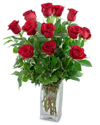 Classic Dozen Red Roses -A local Pittsburgh florist for flowers in Pittsburgh. PA