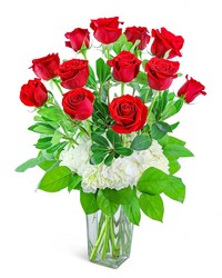 One Dozen Red Roses with Hydrangea -A local Pittsburgh florist for flowers in Pittsburgh. PA