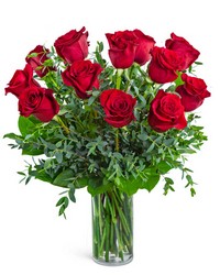One Dozen Red Hot Roses -A local Pittsburgh florist for flowers in Pittsburgh. PA