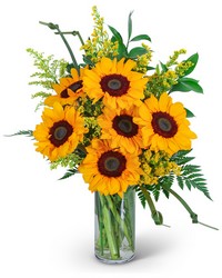 Sunflowers and Love Knots -A local Pittsburgh florist for flowers in Pittsburgh. PA