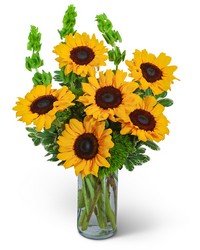 Sunflowers and Bells -A local Pittsburgh florist for flowers in Pittsburgh. PA
