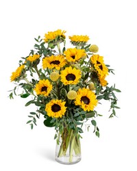 Wildflower Sunshine -A local Pittsburgh florist for flowers in Pittsburgh. PA