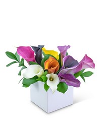 Calming Calla Lilies -A local Pittsburgh florist for flowers in Pittsburgh. PA