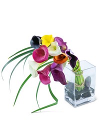 Captivating Calla Lilies -A local Pittsburgh florist for flowers in Pittsburgh. PA