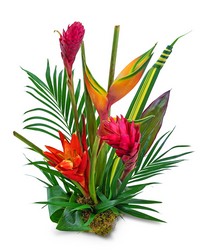 Escape to the Tropics -A local Pittsburgh florist for flowers in Pittsburgh. PA
