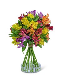 Peruvian Lily Topiary -A local Pittsburgh florist for flowers in Pittsburgh. PA