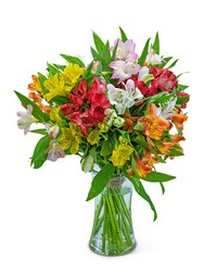 Cheerful Alstroemeria -A local Pittsburgh florist for flowers in Pittsburgh. PA