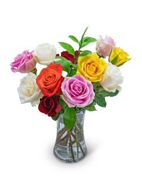 Rainbow Roses -A local Pittsburgh florist for flowers in Pittsburgh. PA
