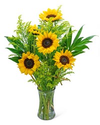 Sunflower Fields -A local Pittsburgh florist for flowers in Pittsburgh. PA