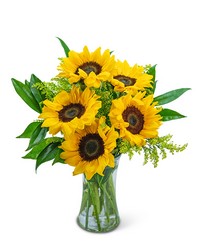 Sprinkle of Sunflowers -A local Pittsburgh florist for flowers in Pittsburgh. PA