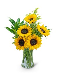 Sunflower Sunshine -A local Pittsburgh florist for flowers in Pittsburgh. PA