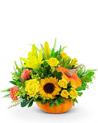 Seasonal Sunkiss Pumpkin -A local Pittsburgh florist for flowers in Pittsburgh. PA