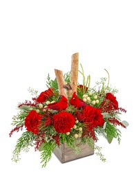 Woodland Cardinal Cheer -A local Pittsburgh florist for flowers in Pittsburgh. PA
